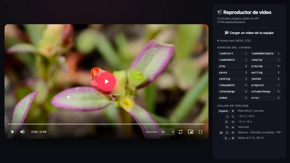 Captura de pantalla del proyecto Reproductor de vídeo